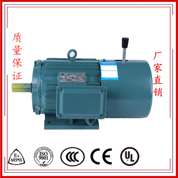 YE2J系列電磁制動三相異步電動機(jī)